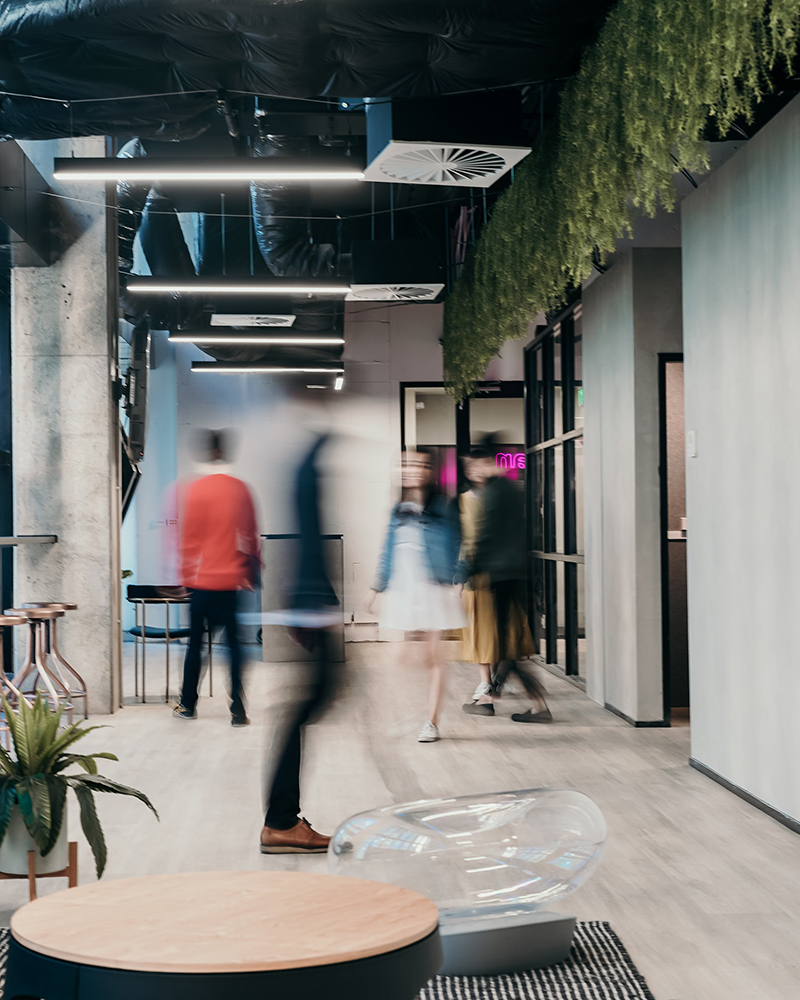 ncubation-image0-1 ncubation